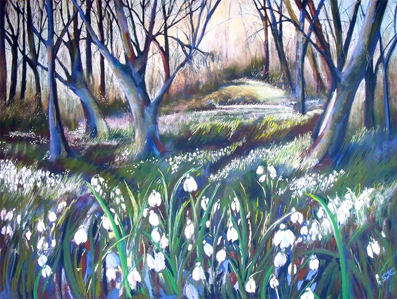 Pastel on sanded paper